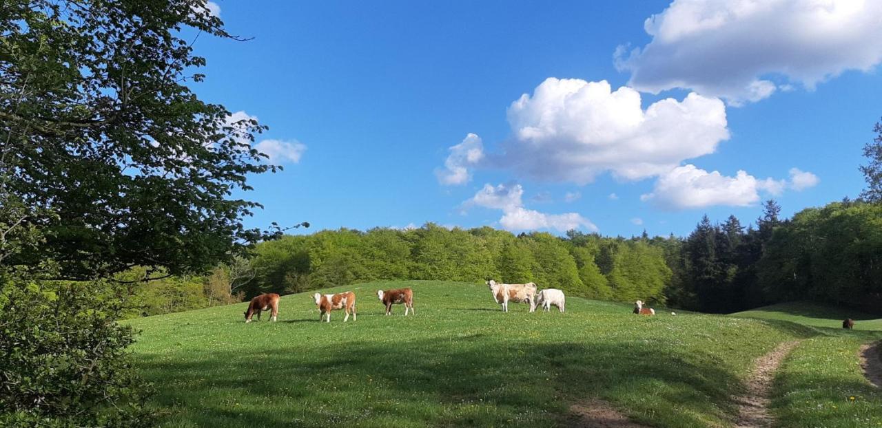 Ferienhaus Diedrichsen Brekendorf Bagian luar foto